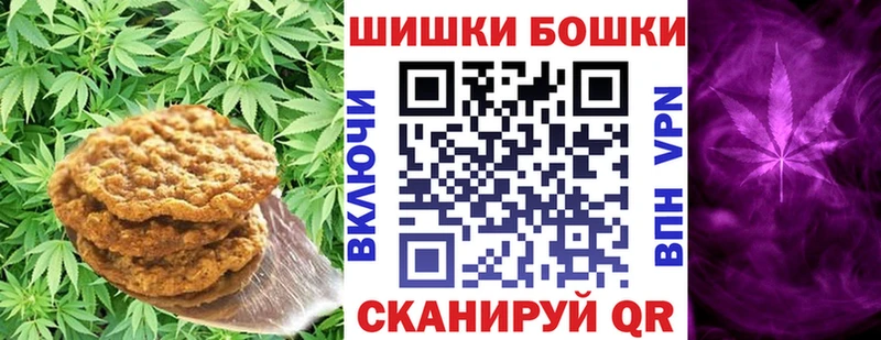 Canna-Cookies марихуана  хочу наркоту  Ноябрьск 