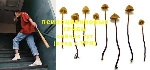 героин Вяземский