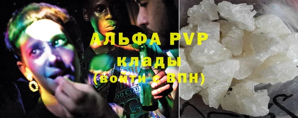 прущие крисы Горняк